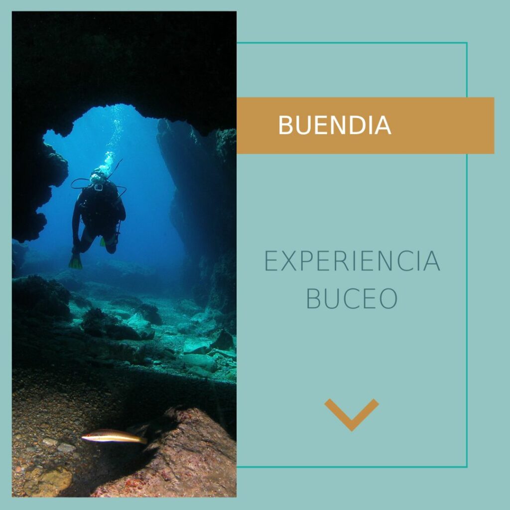 Buceo en Puerto de Mazarrón