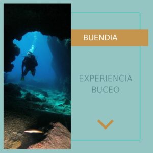 Buceo en Puerto de Mazarrón