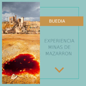 Post de instagram informativo, con texto, nuevo articulo en el blog, elegante y minimalista, color azul, dorado y blanco (8)