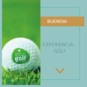 Post de instagram informativo, con texto, nuevo articulo en el blog, elegante y minimalista, color azul, dorado y blanco (4)