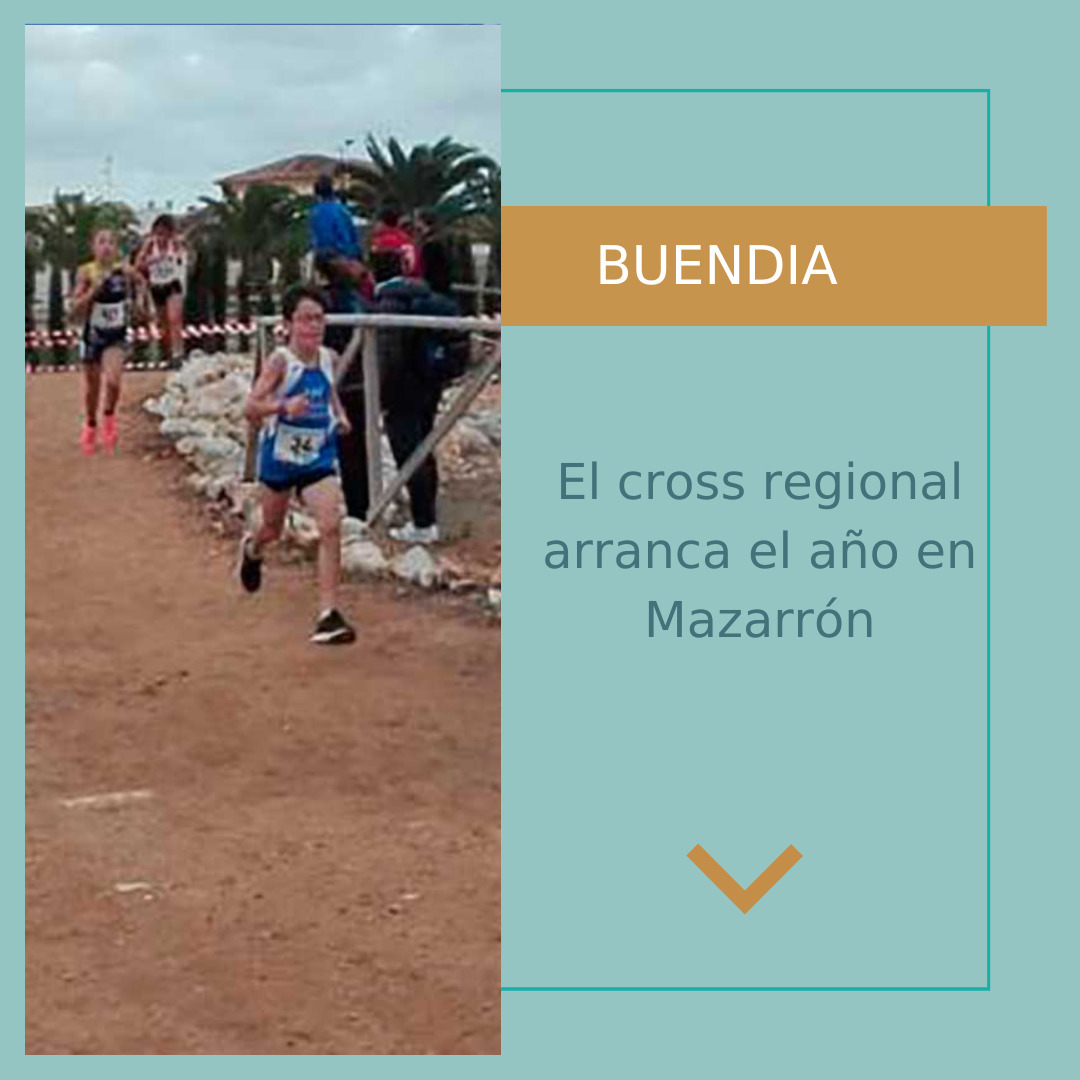 Post de instagram informativo, con texto, nuevo articulo en el blog, elegante y minimalista, color azul, dorado y blanco (15)