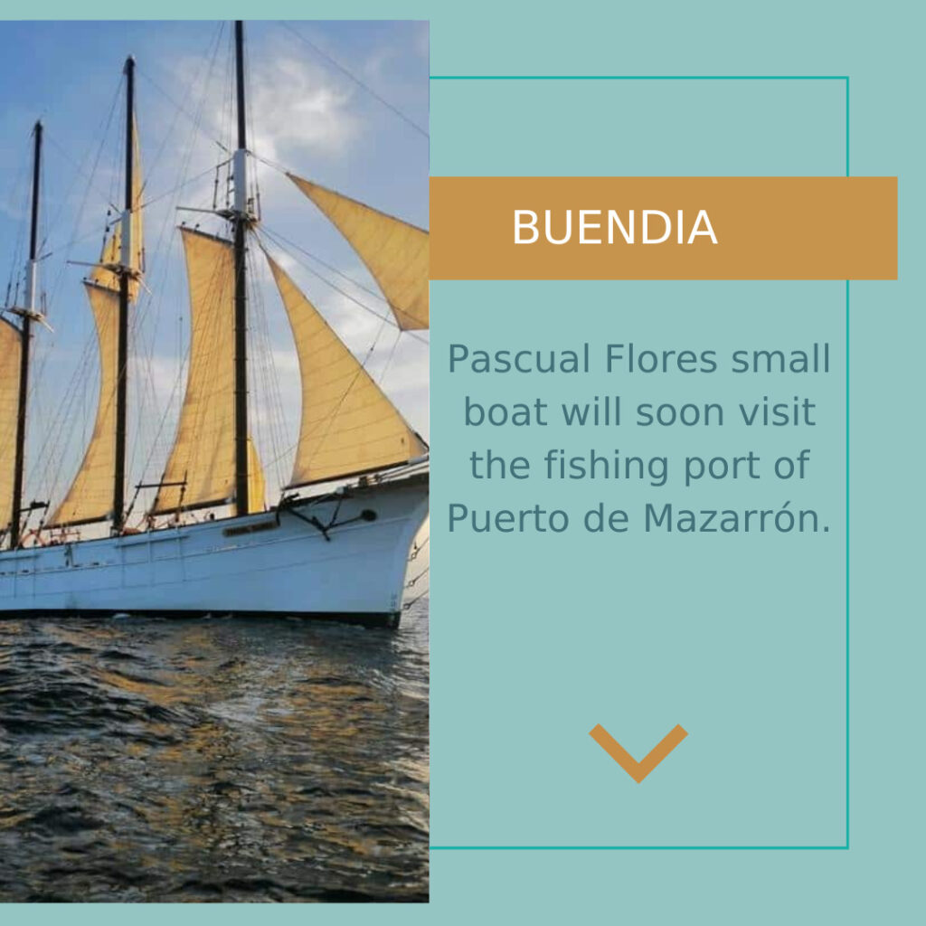 Post de instagram informativo con texto nuevo articulo en el blog elegante y minimalista color azul dorado y blanco 20