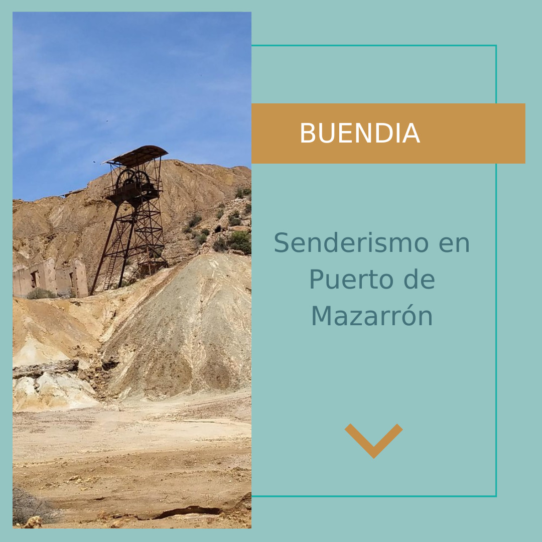 Copia de Post de instagram informativo, con texto, nuevo articulo en el blog, elegante y minimalista, color azul, dorado y blanco (11)