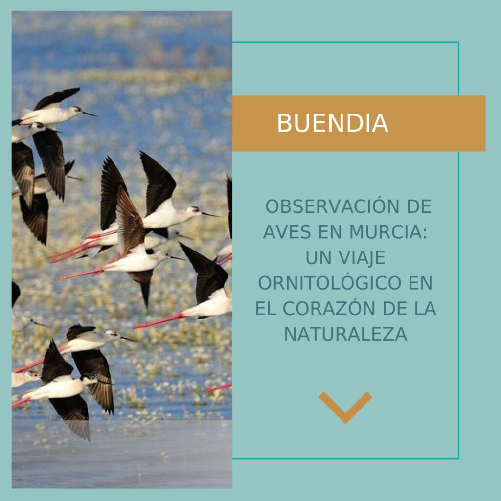 Post de instagram informativo, con texto, nuevo articulo en el blog, elegante y minimalista, color azul, dorado y blanco (2)