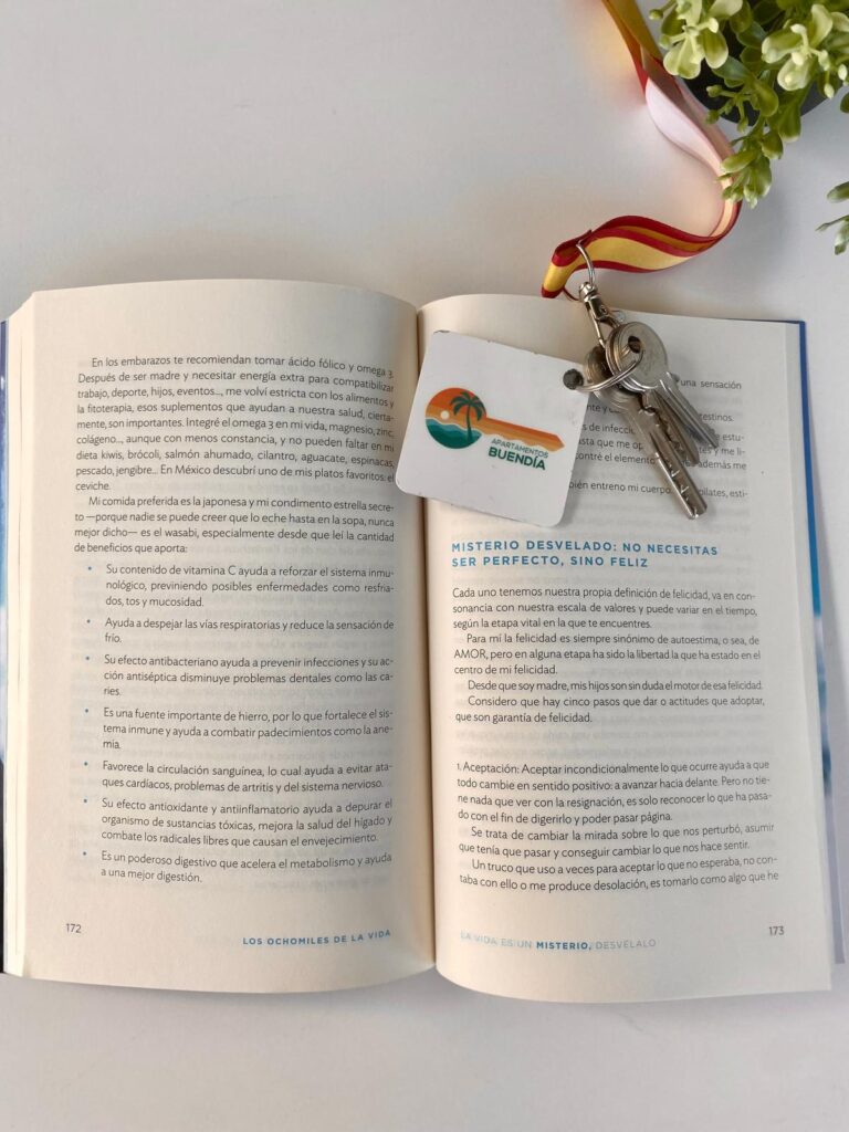 libro-en-Apartamentos-Buendia