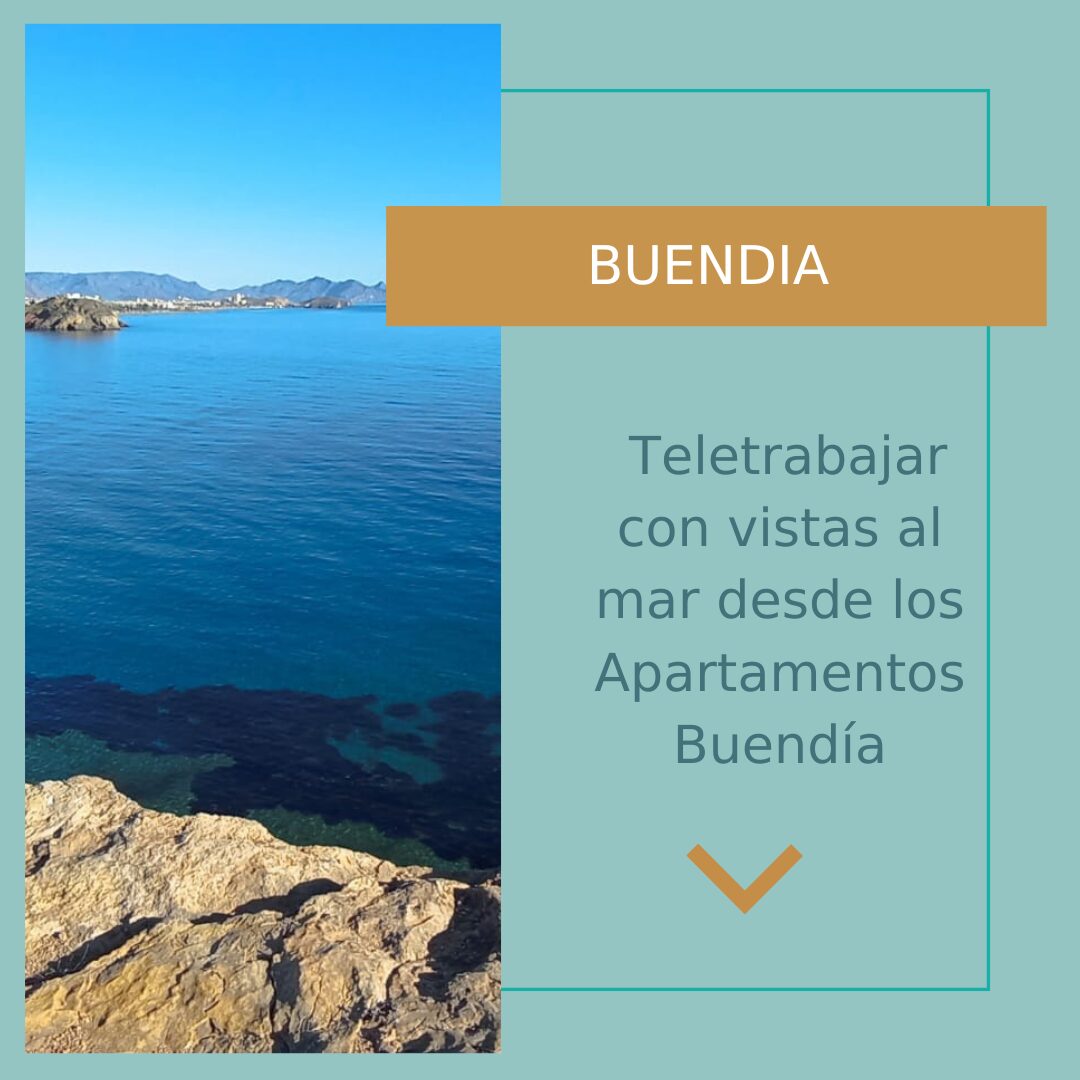 TELETRAJAR EN PUERTO DE MAZARRON