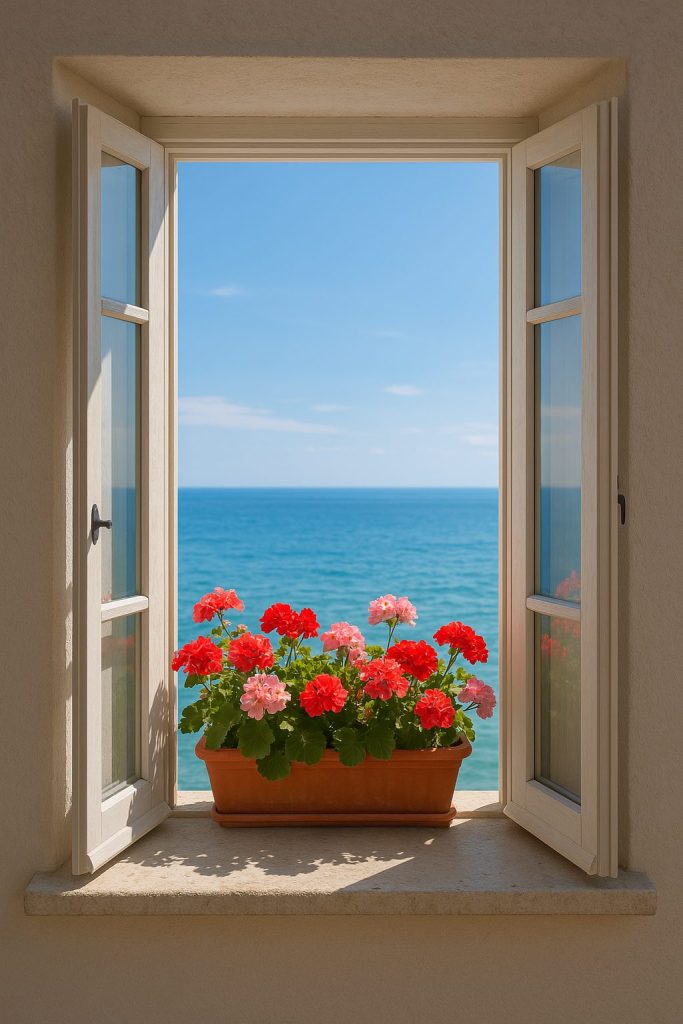 Invierno en Puerto de Mazarrón 
